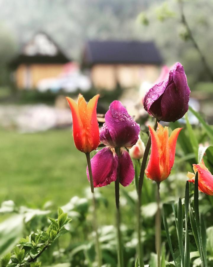 Mala Gorczanska Chatka Ochotnica Dolna Exteriör bild